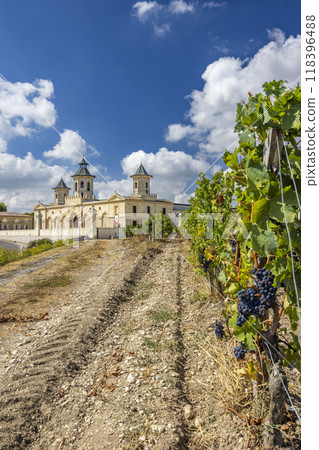 Vineyards with Chateau Cos d'Estournel, Bordeaux, Aquitaine, France 118396488