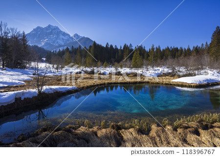 winter landscape in Zelenci, Slovenia winter landscape in Zelenci, Slovenia 118396767