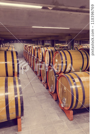 wine cellar full of wooden barrels in Barolo, Piedmont, Italy wine cellar full of wooden barrels in Barolo, Piedmont, Italy 118396769