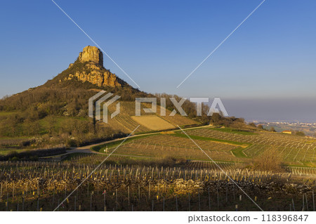 Rock of Solutre with vineyards, Burgundy, Solutre-Pouilly, France Rock of Solutre with vineyards, Burgundy, Solutre-Pouilly, France 118396847