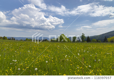 Typicallandscape near Modrava, Nation park Sumava, Czech Republic Typicallandscape near Modrava, Nation park Sumava, Czech Republic 118397037