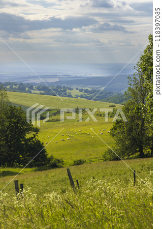 Landscape Kubikuv vrch near Javornik and Nova Lhota,  White Carpathians, Czech Republic 118397085
