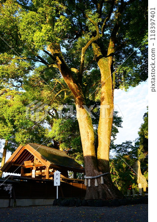 Nikko Reihei-kaido Tamamura Hachiman Shrine 118397401