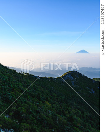 A spectacular view of Mt. Fuji and the sea of clouds in the early morning from Mt. Kinpu A spectacular view of Mt. Fuji and the sea of clouds in the early morning from Mt. Kinpu 118397497