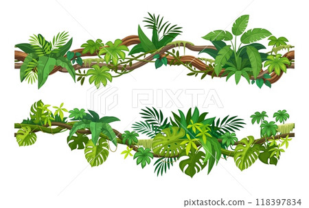 Tropical liana vines and ivy branches with monstera and jungle plant leaves, cartoon vector. Tropical rainforest creeping liana or bindweed tree with climbing branches and hedera tendrils for frame 118397834