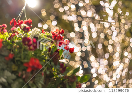 Illuminations and sparkling bokeh 118399076