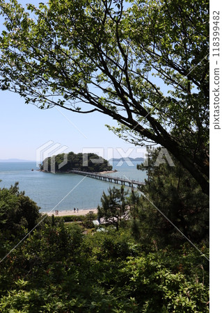 Hill and bridge with ocean view Hill and bridge with ocean view 118399482