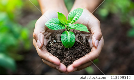 人的手上有土壤和幼苗 118399513