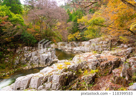 Autumn in Okutsukei, Kotobuchi 14, Kagamino-cho, Tomata-gun, Okayama Prefecture Autumn in Okutsukei, Kotobuchi 14, Kagamino-cho, Tomata-gun, Okayama Prefecture 118399583