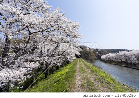 Satoyama scenery in spring 118400280