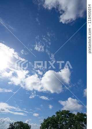 Blue sky, clouds and grove 118400854