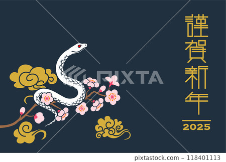 2025 New Year's card template - White snake climbing a cherry blossom branch, navy blue background 118401113