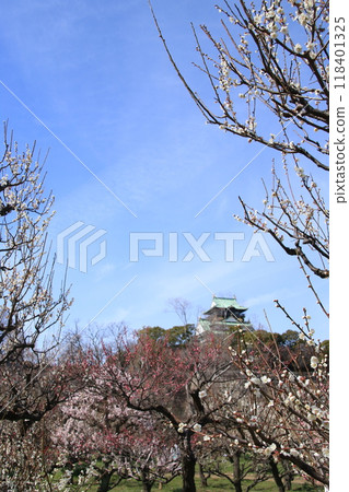 從大阪城公園梅林盛開的梅花中可以看到大阪城天守閣 118401325