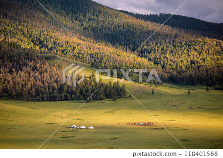 Northern Mongolia landscape in the evening during sunset 118401568