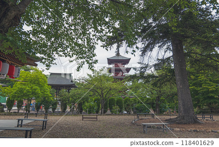Scenery of the grounds of Saisho-in Temple on Mount Kongo in Aomori Scenery of the grounds of Saisho-in Temple on Mount Kongo in Aomori 118401629