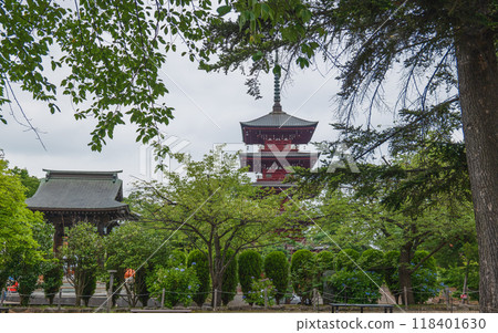 Scenery of the grounds of Saisho-in Temple on Mount Kongo in Aomori Scenery of the grounds of Saisho-in Temple on Mount Kongo in Aomori 118401630