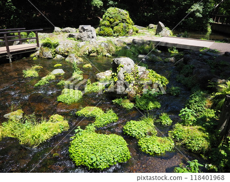 Scenery of Fukidashi Park 118401968