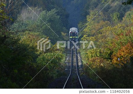 A Furano Line diesel train running up the slopes of Biei early in the morning in autumn A Furano Line diesel train running up the slopes of Biei early in the morning in autumn 118402056