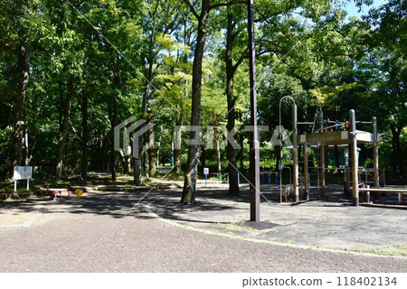 神奈川縣平塚市綜合公園步道和修剪廣場 118402134