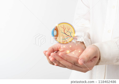 Human eye anatomy hologram on doctor hands. Awareness of eye diseases include age-related macular degeneration, cataract, diabetic retinopathy, and glaucoma. Digital vision eye care concept. 118402486