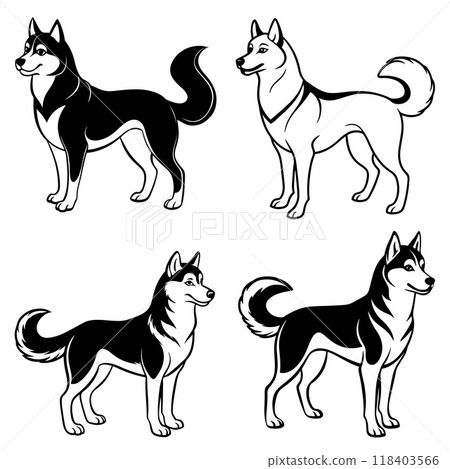 3d rendering of dynamic husky silhouette line art 118403566