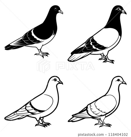 3d rendering of dynamic pigeon silhouette line art 118404102