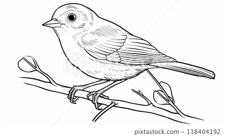 A small bird stands on a branch, displaying intricate feather details and a curious expression, embodying the beauty of nature in a tranquil environment A small bird stands on a branch, displaying intricate feather details and a curious expression, embodying the beauty of nature in a tranquil environment 118404192