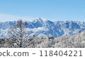 南阿爾卑斯山的冬天 118404221