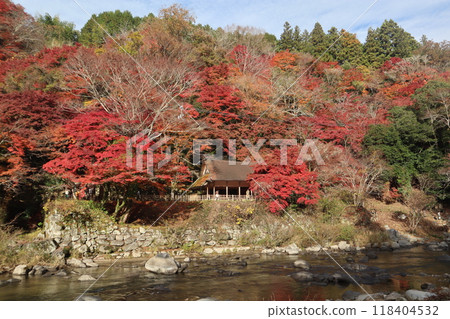 Toyota City Korankei Korankei Autumn leaves viewing Autumn leaves Korankei Maple 118404532