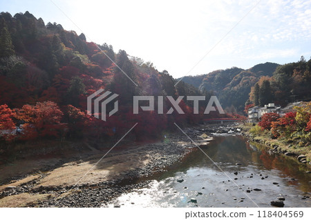 豐田市香蘭溪 香蘭溪紅葉觀賞 紅葉香蘭溪楓樹 豐田市香蘭溪 香蘭溪紅葉觀賞 紅葉香蘭溪楓樹 118404569