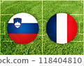 Slovenia vs France football match 118404810