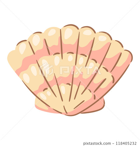 Illustration of seashell. Tropical underwater mollusk shell. Illustration of seashell. Tropical underwater mollusk shell. 118405232