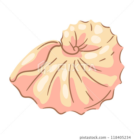 Illustration of seashell. Tropical underwater mollusk shell. Illustration of seashell. Tropical underwater mollusk shell. 118405234