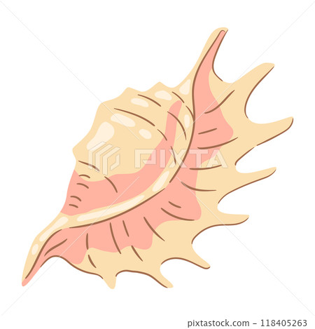 Illustration of seashell. Tropical underwater mollusk shell. 118405263