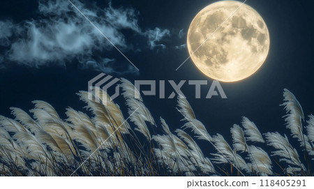 Susuki and the Mid autumn moon 118405291