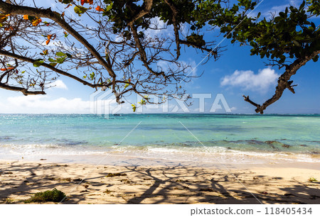 Empty beach view photo taken on a sunny day, Seychelles 118405434