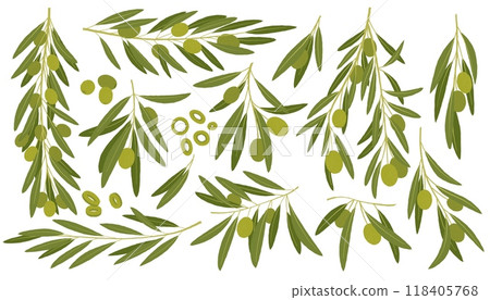 Cartoon green olives. Organic olive leaf branch, organic vegetarian food for logo design, natural green olives healthy product. Vector isolated set Cartoon green olives. Organic olive leaf branch, organic vegetarian food for logo design, natural green olives healthy product. Vector isolated set 118405768