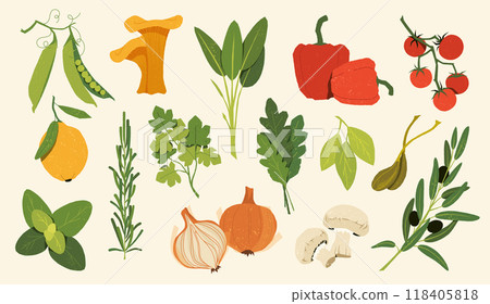 Mediterranean herbs and vegetables. Traditional Italian food ingredients, fresh basil oregano thyme rosemary, chanterelles champignon, mushrooms lemon sketch vector isolated collection 118405818