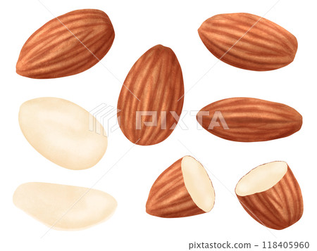 Set of almonds Set of almonds 118405960