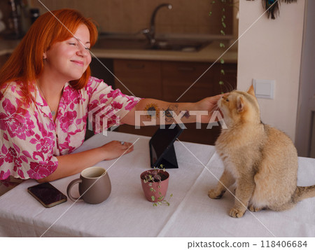 young woman working on tablet at home kitchen with her cute cat. A real female freelancer uses computer to work remotely from home with cup of coffee. young woman working on tablet at home kitchen with her cute cat. A real female freelancer uses computer to work remotely from home with cup of coffee. 118406684