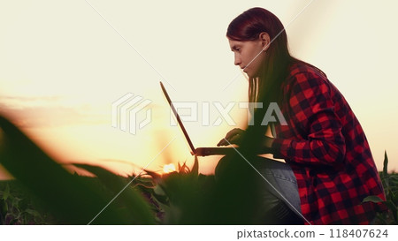 agriculture, woman farmer working laptop, farm field corn, modern farm business growing, farming business tech, cornfield technology use, laptop field sunset, laptop rural management, sunset farm 118407624