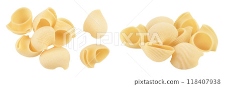 lumaconi pasta isolated on white background with full depth of field. Top view. Flat lay 118407938