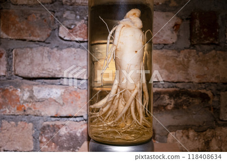 ginseng 118408634