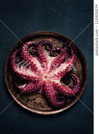 Boiled octopus, close-up, rustic style, no people, top view, close-up, 118408834