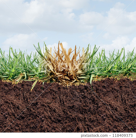 Lawn Damage Lawn Damage 118409373