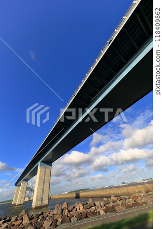 東京大橋 118409862