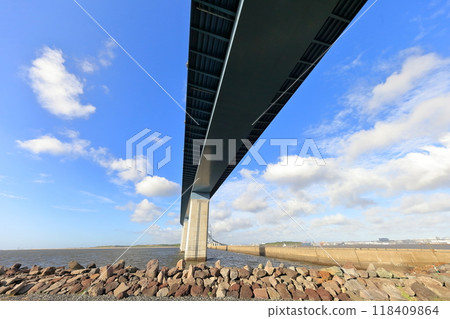 東京大橋 118409864