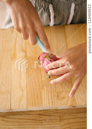 The Process of Preparing a Vibrant Dragon Fruit Using a Sharp Knife on a Wooden Cutting Board 118409915