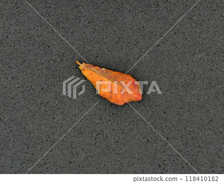 A small orange leaf is gently resting on a gray surface below A small orange leaf is gently resting on a gray surface below 118410182