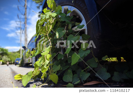 A black car that has a broken tire and is covered with leaves A black car that has a broken tire and is covered with leaves 118410217